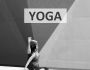 Yoga. Le guide complet du dbutant