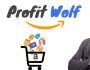 Formation Amazon FBA - Profit Wolf - Arbitrage