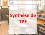 Synthse de TPE [Analyse de Texte]
