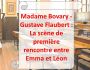MADAME BOVARY - GUSTAVE FLAUBERT  1ERE RENCONTRE