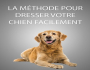 COMMENT DRESSER VOTRE CHIEN EN UN TEMPS RECORD