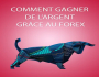 COMMENT GAGNER UNE PETITE FORTUNE GRACE AU FOREX