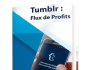 Tumblr : Flux de Profits