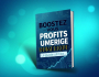 BOOSTEZ VOS REVENUS EN LIGNE