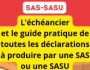 LES DECLARATIONS A PRODUIRE DANS UNE SASSASU