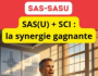 SASU  SCI  LA SYNERGIE GAGNANTE