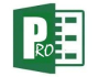 PLANNING-EXCEL PRO